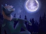  2017 anthro canid canine detailed_background deviant-soulmates digital_media_(artwork) female mammal night outside purple_eyes sitting sky solo star starry_sky 