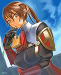  breast_rest breasts brown_eyes brown_hair covered_nipples final_fantasy final_fantasy_xi gloves hume juice large_breasts long_hair ponytail red_mage robina solo sweatdrop 