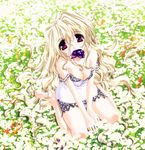  aquarian_age artist_request barefoot blonde_hair breasts bug butterfly cleavage curly_hair flower highres insect long_hair looking_at_viewer medium_breasts mouth_hold red_eyes sitting solo strap_slip 