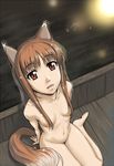  animal_ears bad_id bad_pixiv_id barefoot breasts hair_censor hair_over_breasts holo nude open_mouth pirano red_eyes sitting small_breasts solo spice_and_wolf tail 