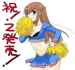  amemiya_sayaka blue_eyes braid breasts brown_hair cheerleader cleavage long_hair medium_breasts midriff nakajima_yuka osu!_tatakae!_ouendan ouendan pom_poms skirt solo 