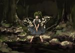  alternate_wings bow butterfly_wings daiyousei green_hair shimadoriru soaking_feet solo touhou water wings 