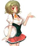  ascot breasts cleavage green_hair kazami_yuuka medium_breasts nokishita red_eyes short_hair skirt smile solo touhou tray waitress white_background 