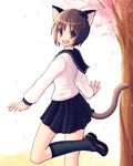  animal_ears cat_ears copyright_request kimarin school_uniform solo tail 