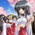  black_eyes black_hair cherry_blossoms closed_eyes green_eyes hakama happy japanese_clothes miko multiple_girls noritama_(gozen) open_mouth original red_hakama 