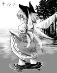  cirno dress from_behind greyscale monochrome skirt skirt_hold solo takahero touhou wading water wings 