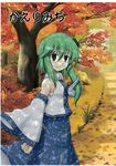  cropme kochiya_sanae tagme touhou 