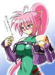 artist_request breasts cosplay huge_breasts lamia_loveless lamia_loveless_(cosplay) lyrical_nanoha mahou_shoujo_lyrical_nanoha mahou_shoujo_lyrical_nanoha_a's mahou_shoujo_lyrical_nanoha_strikers seiyuu_connection shimizu_kaori signum solo super_robot_wars translated 