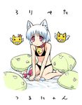  animal_ears barefoot bell bell_collar bra cat_ears collar copyright_request jingle_bell lingerie panties pillow solo tail underwear underwear_only yamai 