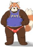  2018 ailurid anthro belly black_nose blush bulge clothing humanoid_hands kota&acute; male mammal moobs nipples overweight overweight_male red_panda shirt simple_background solo underwear white_background 