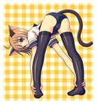  animal_ears bent_over cat_ears kimarin no_pants original school_swimsuit solo spread_legs swimsuit swimsuit_under_clothes tail thighhighs 