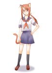  animal_ears cat_ears glasses hasegawa_chisame mahou_sensei_negima! school_uniform solo tail yuutarou 