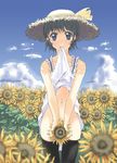  amaya_yuu black_legwear blurry blush copyright_request covering covering_crotch depth_of_field dress dress_in_mouth dress_lift flower hat mouth_hold no_panties solo staring sunflower thighhighs 