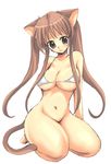  animal_ears barefoot bikini bikini_top bottomless breasts brown_eyes brown_hair cat_ears cat_tail cleavage copyright_request large_breasts long_hair sakurai_unan solo swimsuit tail twintails very_long_hair 