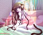  animal animal_ears bare_shoulders cat cat_ears galge.com higuchi_norie long_hair pale_skin solo tail thighhighs wallpaper 