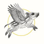  2019 ambiguous_gender anisis feathered_wings feathers feral fur grey_feathers grey_fur hooves hybrid mammal pig porcine simple_background solo wings 