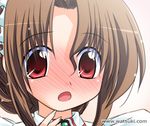  :o blush brown_hair hayate_no_gotoku! maid_headdress maria_(hayate_no_gotoku!) portrait red_eyes solo watermark watsuki_ayamo web_address 