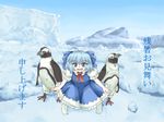  bird cirno penguin smile snow solo touhou translated 