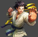  street_fighter tagme 