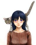  animal animal_on_shoulder artist_request azumanga_daiou blue_eyes blush cat highres long_hair mayaa realistic sakaki solo 