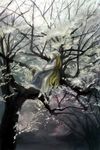  blonde_hair faceless faceless_female in_tree nature oisin scenery sitting solo tabard touhou tree yakumo_ran 