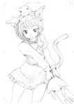  animal animal_ears animal_on_head cat cat_ears cat_on_head cat_tail chen earrings fujiwara_shun'ichi greyscale hat jewelry monochrome object_on_head on_head ribbon short_hair sketch solo tail touhou 