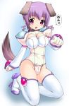  animal_ears breasts cameltoe copyright_request dog_ears dog_tail kakogawa_tarou large_breasts solo tail thighhighs 