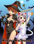  animal_ears azu cat_ears fate/stay_night fate_(series) fujimura_taiga halloween happy_halloween hat illyasviel_von_einzbern multiple_girls night tail witch_hat 