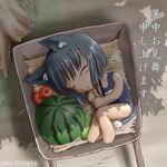  animal_ears artist_request box cardboard_box cat_ears chibi closed_eyes copyright_request food fruit in_box in_container one-piece_swimsuit school_swimsuit shochuumimai sleeping solo swimsuit watermelon wheelbarrow 