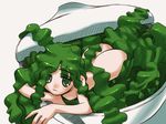  ass copyright_request food green_eyes green_hair in_container in_food minigirl nakamura_tetsuya nude personification seaweed solo soup 
