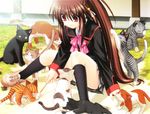  bow brown_hair cat little_busters! long_hair na-ga natsume_rin pink_bow ponytail red_eyes school_uniform solo too_many too_many_cats 