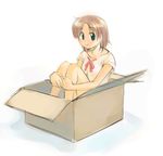  box brown_hair cardboard_box copyright_request ikeda_jun_(mizutamari) in_box in_container short_hair smile solo 