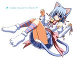  animal_ears ayasaki_hayate cat_ears crossdressing hayate_no_gotoku! male_focus otoko_no_ko solo tail touda_rui 