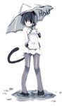  animal_ears cat_ears copyright_request ganges_gawa pantyhose solo tail umbrella 