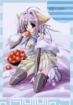  1girl animal_ears apple apples elbow_gloves food fox_ears fruit gloves highres holding holding_apple holding_fruit solo thighhighs zettai_ryouiki 