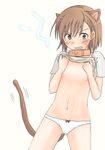  animal_ears biribiri cat_ears collar misaka_mikoto panties shiki_(no-reply) shirt_lift solo to_aru_kagaku_no_railgun to_aru_majutsu_no_index underwear 