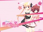  animal_ears areas bunny_ears lapis_lazuli mikage_konoka miyasaka_miyu nekomimi riizu_furanneru wallpaper 