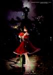  hakurei_reimu lowlight_kirilenko rella touhou world_through_fantasy 