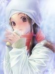  bad_id bad_pixiv_id beanie breath brown_eyes brown_hair can hands hat original red_scarf scarf shounen_democratica snow snowflakes solo twintails 