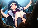  black_hair blush climbing from_below game_cg hata_seika hitoyume in_tree kurashima_tomoyasu long_hair nature red_eyes school_uniform sitting sitting_in_tree skirt socks solo tears tree 