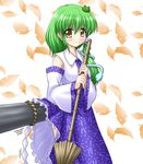  bococho broom frog green_hair kochiya_sanae onbashira skirt skirt_lift snake solo touhou yellow_eyes 