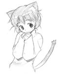  animal_ears cat_ears cat_tail copyright_request graphite_(medium) greyscale hands_clasped monochrome own_hands_together short_hair sketch solo sweater taguchi_makoto tail traditional_media 