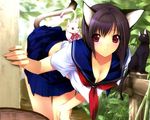  animal_ears blue_skirt breasts cat cat_ears cat_tail cleavage copyright_request day hand_on_own_knee iizuki_tasuku large_breasts leaning_forward neckerchief outdoors parted_lips pleated_skirt red_eyes school_uniform serafuku short_hair short_sleeves skirt solo tail 