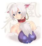  .hack//tasogare_no_udewa_densetsu 1girl animal_ears collar earrings hoop_earrings jewelry ouka_(.hack//) sango_(53box) short_hair silver_hair solo wolf_ears 