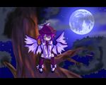  hat in_tree kuroneko_no_toorimichi letterboxed moon mystia_lorelei night purple_hair sitting sitting_in_tree solo touhou tree wings yellow_eyes 