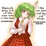  ascot blush bococho breasts closed_umbrella english green_hair hard_translated holding kazami_yuuka large_breasts looking_at_viewer naughty_face parasol plaid plaid_skirt plaid_vest red_eyes sexually_suggestive skirt skirt_set smile solo touhou translated umbrella vest 