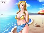  bb beach breasts cleavage large_breasts long_hair swimsuit 