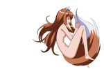 barefoot full_body holo long_hair nude solo spice_and_wolf transparent_background vector_trace 