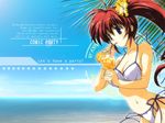  1girl beach bikini blue_eyes breasts comic_party drink female ocean outdoors ponytail red_hair side-tie_bikini side_ponytail sky solo straw swimsuit takase_mizuki 