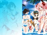  girls_bravo kojima_kirie koyomi_hare_nanaka miharu_sena_kanaka mizugi swimsuit tomoka_lana_jude 